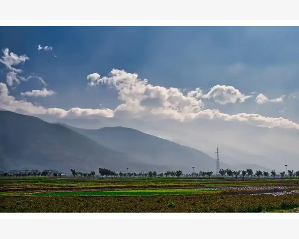 脾胃虚弱，中医调养秘籍：岳阳医院特色疗法